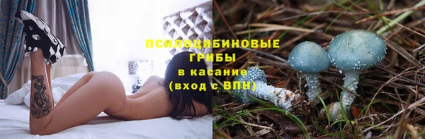 гидропоника Володарск